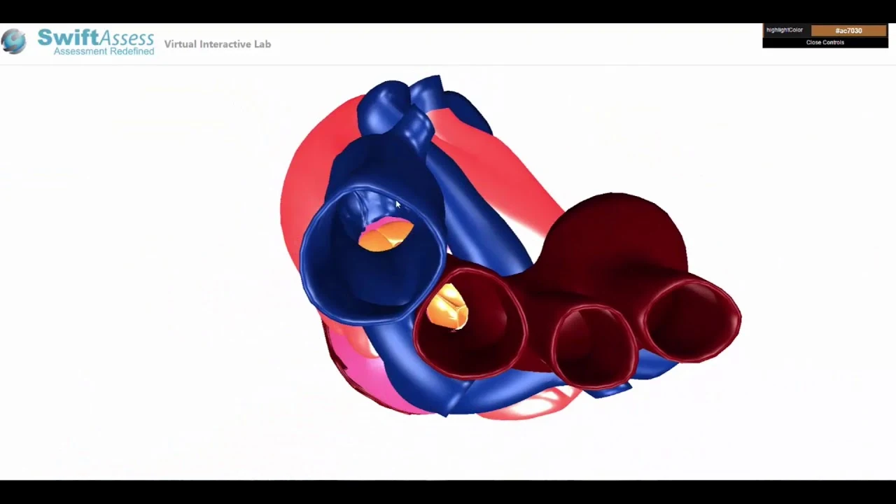 3D-Based Assessment Learning Models